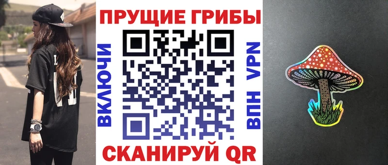 Галлюциногенные грибы MAGIC MUSHROOMS  Шарья 